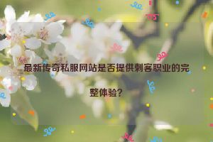 最新传奇私服网站是否提供刺客职业的完整体验？