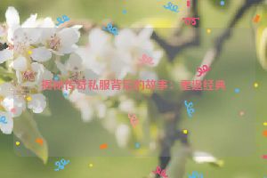 揭秘传奇私服背后的故事：重返经典