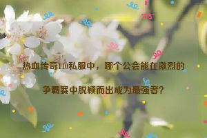 热血传奇110私服中，哪个公会能在激烈的争霸赛中脱颖而出成为最强者？