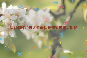 精彩刺激：最火传奇私服独家攻略大揭秘